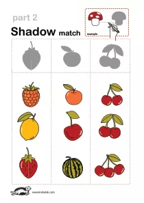 logic,shadows