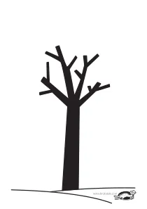 autumn,craft,craft-coloring,fall,tree