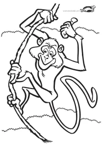 coloring,craft-coloring,monkey