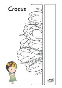 carnaval,craft,craft-coloring,mask,spring