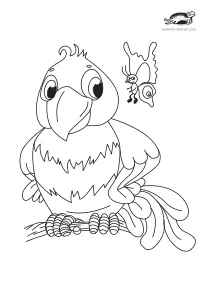 bird,coloring,craft-coloring,parrot