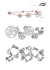 fish,flower,ladybird,ladybug,math,opposites