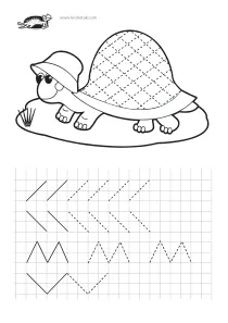 fine-motor,squares,turtle