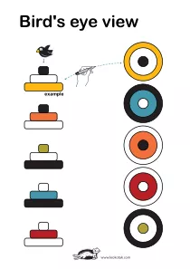 bird&#x27;s eye view,direction,logic