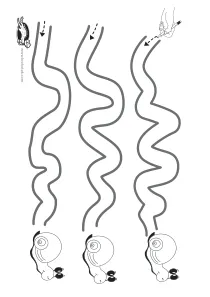 fine-motor,snail