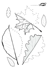 autumn,fall,fine-motor,leaf,prewriting,tracing