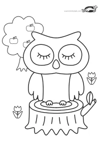 autumn,bird,coloring,craft-coloring,fall,outdoor,owl,park