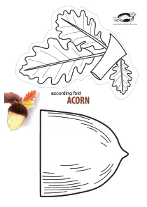 acorn,autumn,craft,craft-coloring,fall
