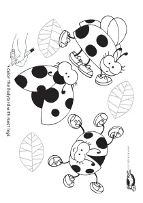insect,ladybird,ladybug,math,opposites,spring