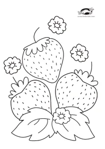 christmas,coloring,craft-coloring,strawberry,summer,winter