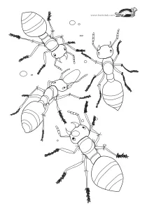 ant,boy,coloring,craft-coloring