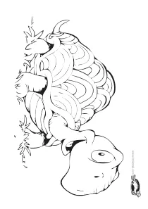 coloring,craft-coloring,turtle