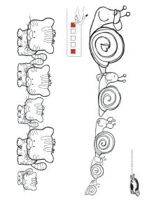 cat,differences,math,opposites,shell
