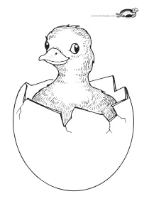 chicken,coloring,craft-coloring,easter,egg,mothers-day