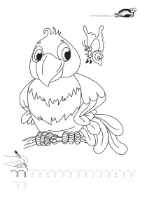 fine-motor,parrot