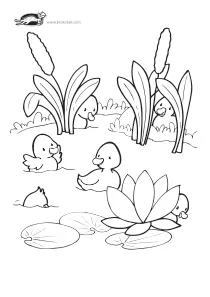 coloring,craft-coloring,duck,lake