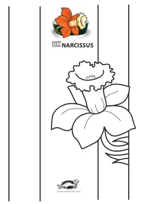 craft,craft-coloring,crown,flower,mask,narcissus,spring