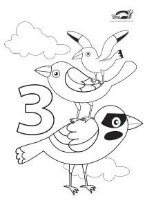bird,math,numbers,spring