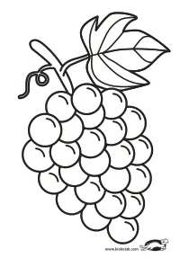 autumn,coloring,craft-coloring,fall,fruit,grapes