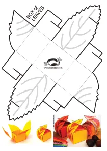 autumn,box,craft,craft-coloring,fall,gift,giftbox