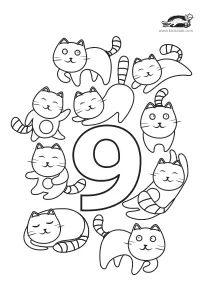 cat,math,numbers