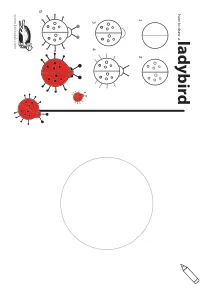 draw,fine-motor,how-to-draw,insect,ladybird,ladybug