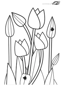 coloring,craft-coloring,spring,tulip