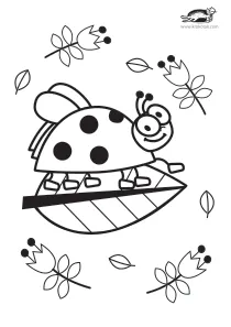 coloring,craft-coloring,ladybird,ladybug,spring