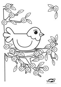 bird,coloring,craft-coloring,nest,spring