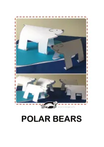 bear,craft-coloring,winter