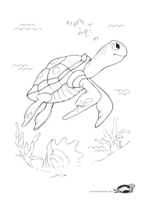 coloring,craft-coloring,sea,turtle