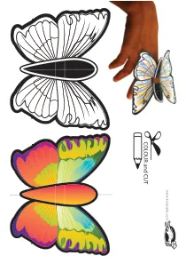 butterfly,craft,craft-coloring,finger,hand,insect,paper-toy,spring