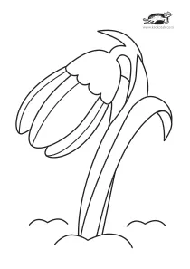 coloring,craft-coloring,snowdrop,spring
