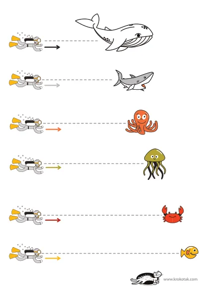 Learning picture
