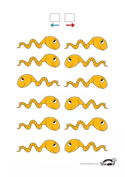 Learning picture