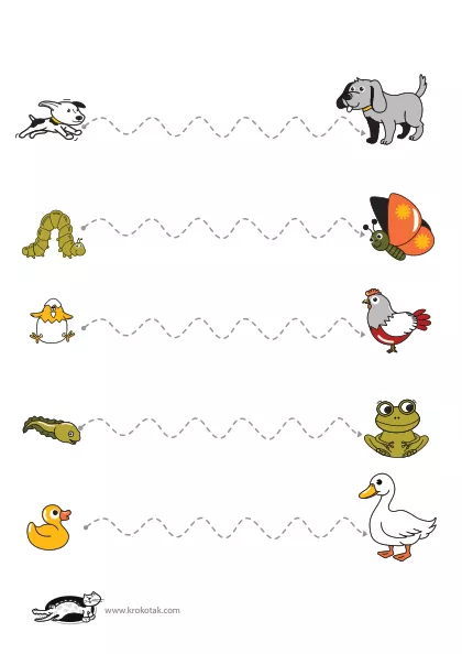 Learning picture