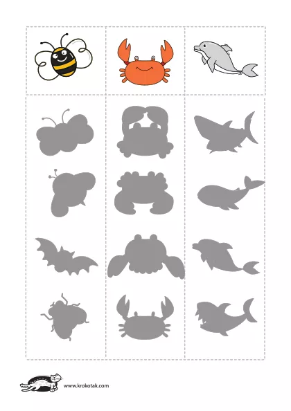 Learning picture
