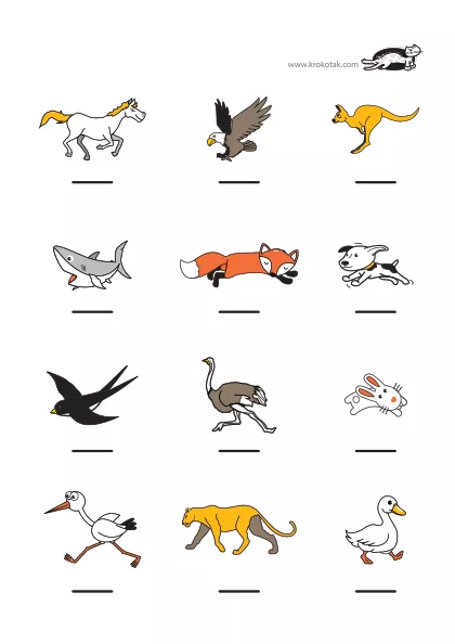 Learning picture