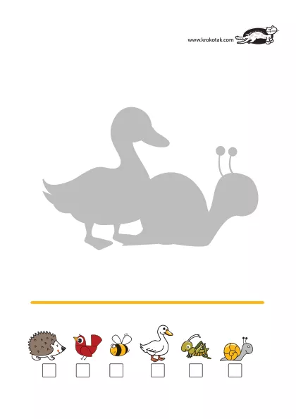 Learning picture